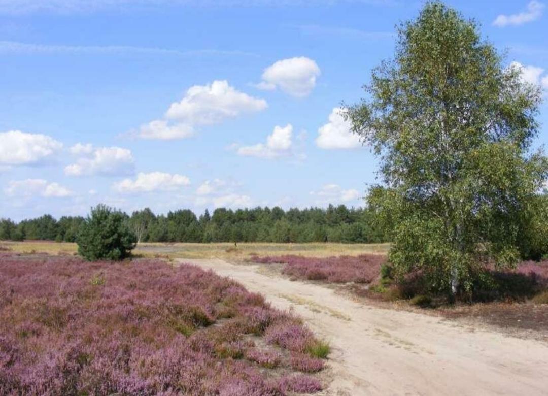 Chalet Schoonhoeve Schoonloo ภายนอก รูปภาพ